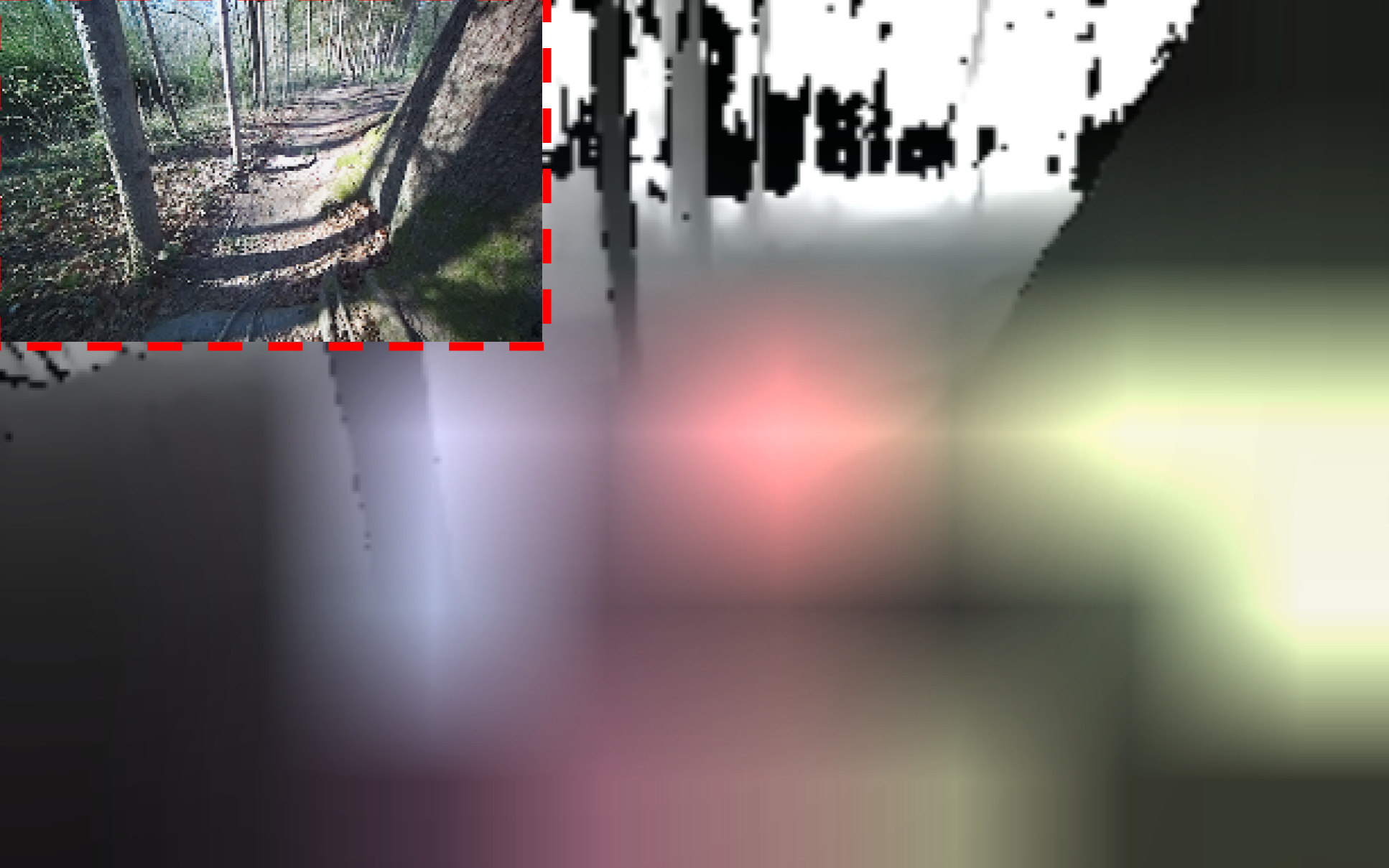 Attention weights in forest environment